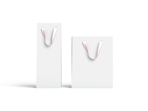 White Paper Gift Bag 2 Type - craft shopping packet set Modello 3D