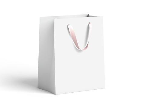 White Paper Gift Bag 2 Type - craft shopping packet set Modello 3D