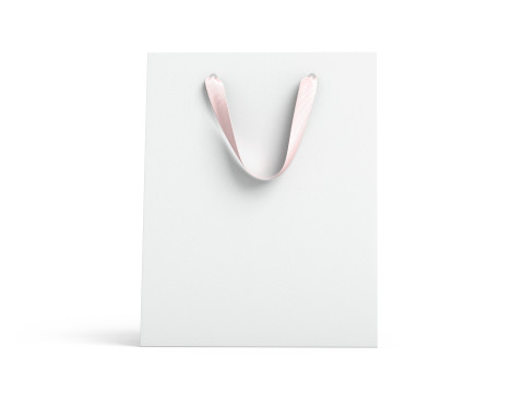 White Paper Gift Bag 2 Type - craft shopping packet set Modello 3D