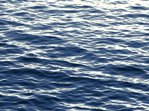 Animated Blue Ocean Surface - sea wave with cyclic looped animation 3D Model