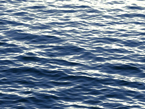 Animated Blue Ocean Surface - sea wave with cyclic looped animation 3D Model
