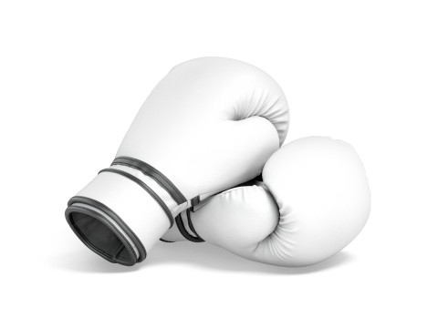 White Leather Boxing Gloves - punch sparring kickboxing equipment Modello 3D