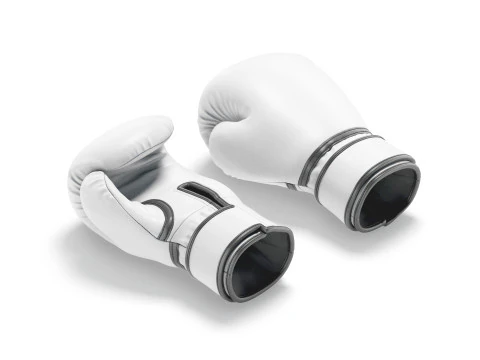 White Leather Boxing Gloves - punch sparring kickboxing equipment 3D Model