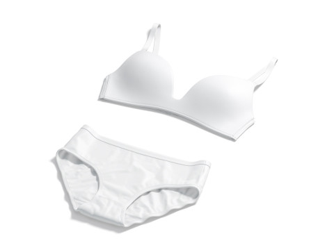 Womens Lingerie White Set With Briefs - underwear wireless bra with slip panties Model 3D