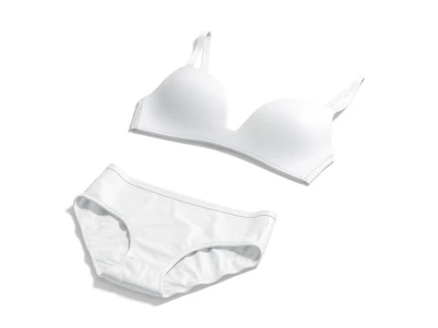 Womens Lingerie White Set With Briefs - underwear wireless bra with slip panties 3D Model