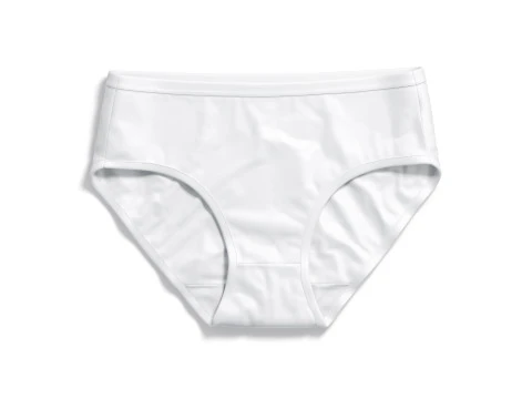 Womens Lingerie White Set With Briefs - underwear wireless bra with slip panties 3D Model