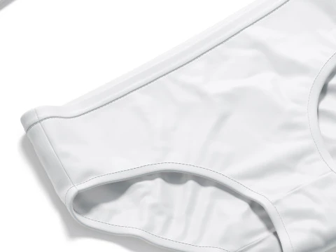 Womens Lingerie White Set With Briefs - underwear wireless bra with slip panties 3D Model