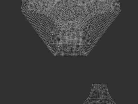 Womens Lingerie White Set With Briefs - underwear wireless bra with slip panties 3D Model