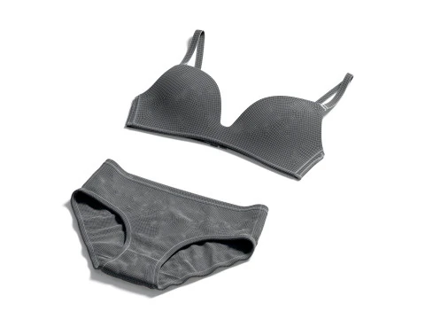 Womens Lingerie White Set With Briefs - underwear wireless bra with slip panties 3D Model