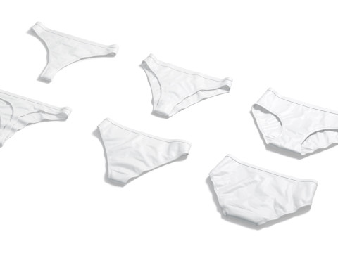 Womens Panties White Set - thong slip brief types panties 3D 모델