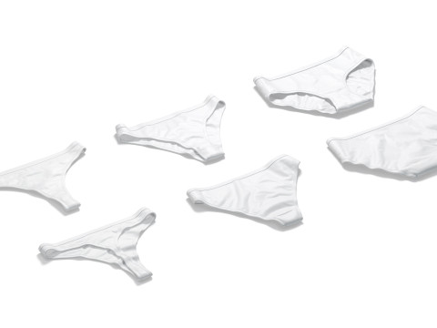 Womens Panties White Set - thong slip brief types panties 3Dモデル