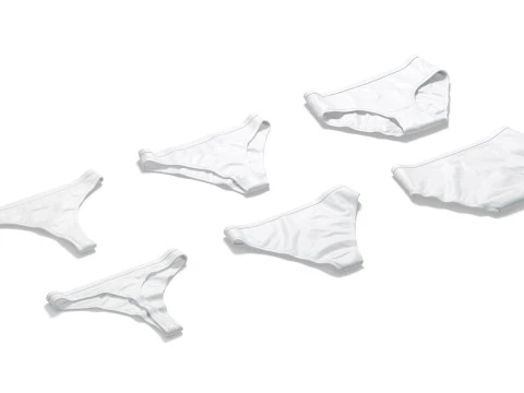 Womens Panties White Set - thong slip brief types panties 3D Model
