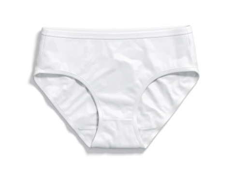 Womens Panties White Set - thong slip brief types panties 3D Model