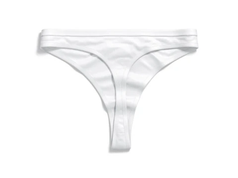 Womens Panties White Set - thong slip brief types panties 3D Model
