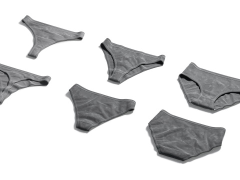 Womens Panties White Set - thong slip brief types panties 3Dモデル