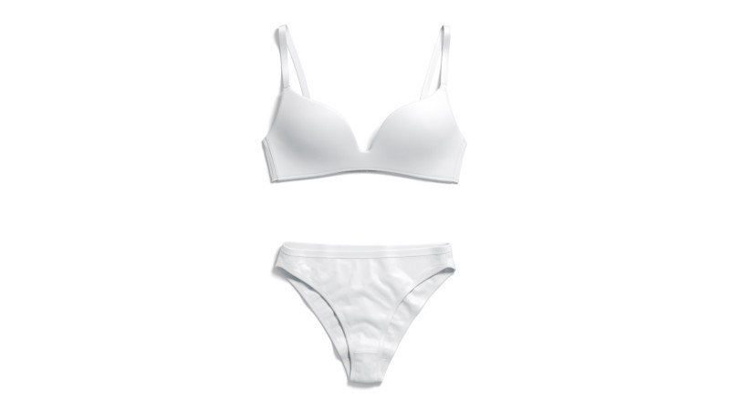 Womens Classic Lingerie White Set - bra with brief panties 3D Model .c4d .max .obj .3ds .fbx .stl .blend