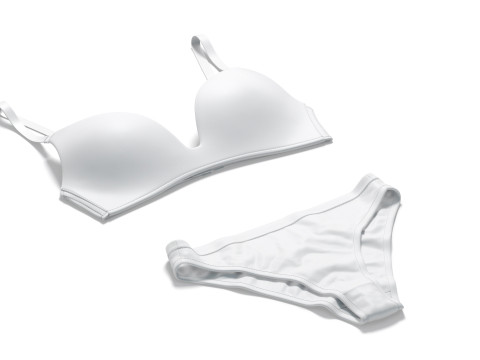 Womens Classic Lingerie White Set - bra with brief panties 3D Model