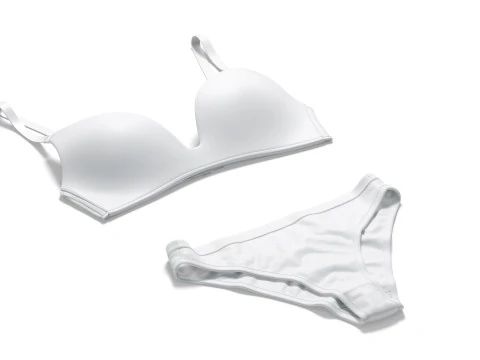Womens Classic Lingerie White Set - bra with brief panties 3D Model