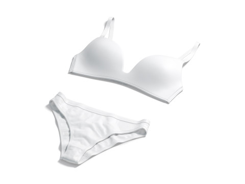 Womens Classic Lingerie White Set - bra with brief panties 3D Model