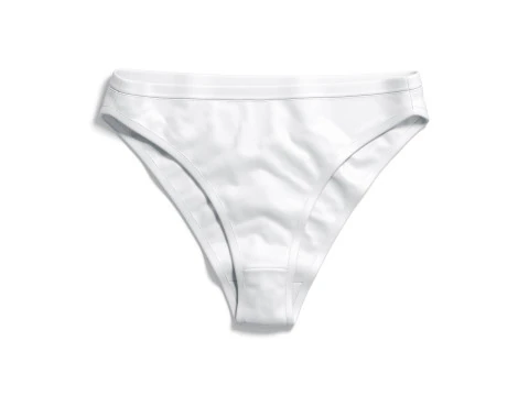 Womens Classic Lingerie White Set - bra with brief panties 3D Model
