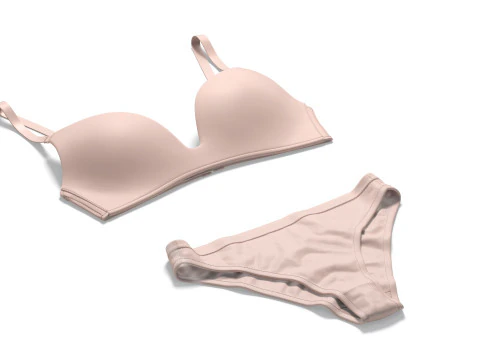 Conjunto feminino cl&aacute;ssico de lingerie bege - biqu&iacute;ni rosa com suti&atilde; Modelo 3D
