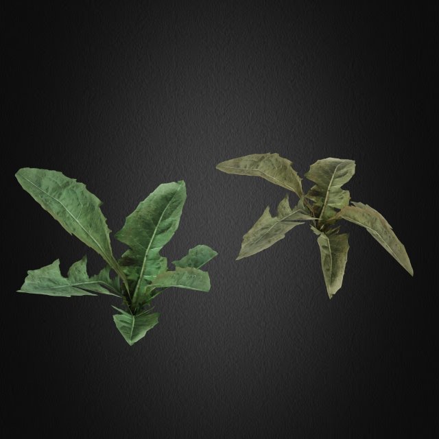 grass Modelo 3D .c4d .max .obj .3ds .fbx .stl .blend 