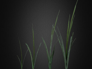 grass 2 3D 模型