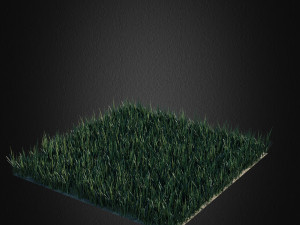 grass 2 3D Model