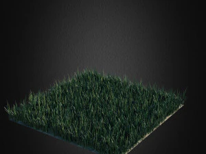 잔디 2 3D 모델
