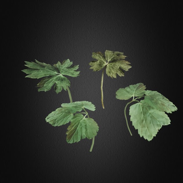 grass 3 Modelo 3D .c4d .max .obj .3ds .fbx .stl .blend 