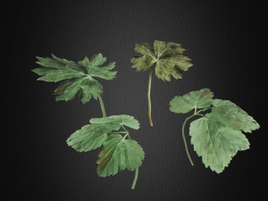 grass 3 3D 模型