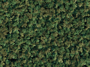 grass 3 Modelo 3D