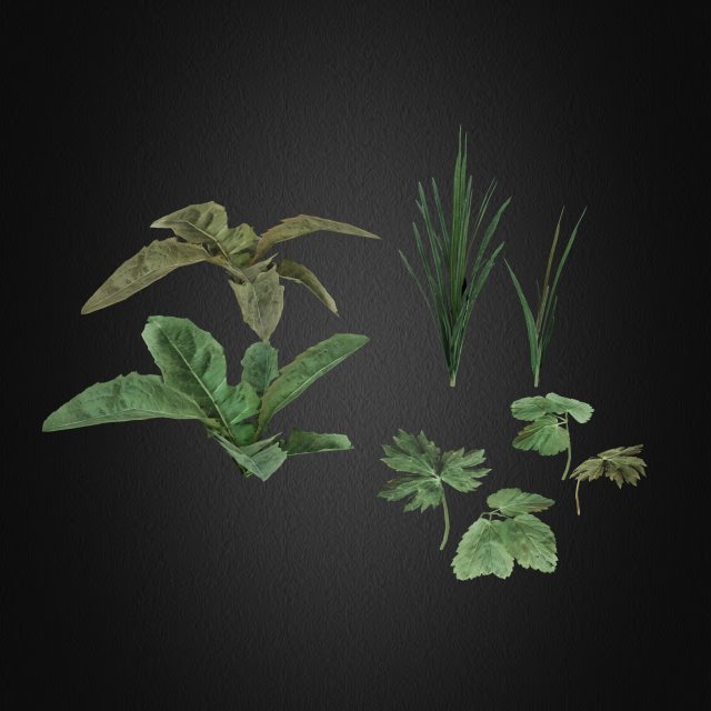 grass full Modelo 3D .c4d .max .obj .3ds .fbx .stl .blend 