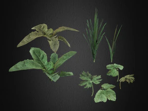 grama cheia Modelo 3D