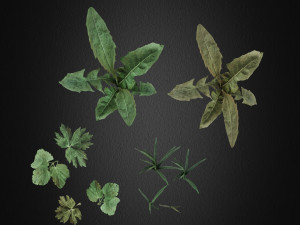 grass full Modelo 3D