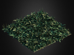 grass full Modelo 3D