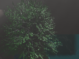 island 3D 模型