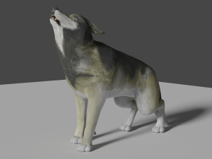 grey realistic wolf 3D Модель