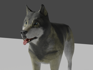 grey realistic wolf 3D Модель