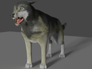 lupo grigio realistico Modello 3D