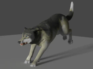 lobo gris realista Modelo 3D