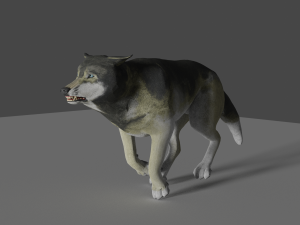 grey realistic wolf 3D Модель