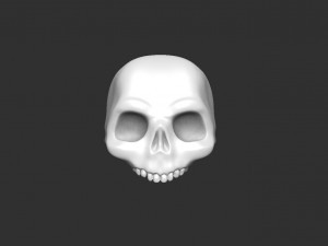 skull 3D Model