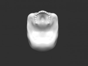 skull 3D Model