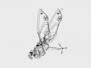 butterflyaircraftfbx 3D-Modell