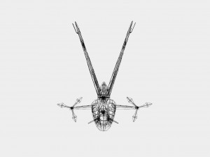 butterflyaircraftfbx 3D-Modell