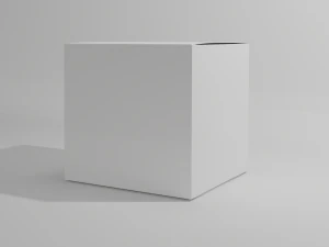 Cardboard box Packaging Low-poly 3D Model