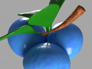 blue olive fruit 3D Model