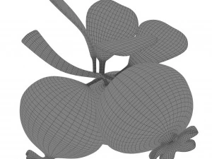blue olive fruit 3D Model