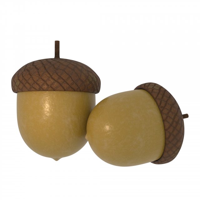 forest nut Modello 3D .c4d .max .obj .3ds .fbx .stl .blend 